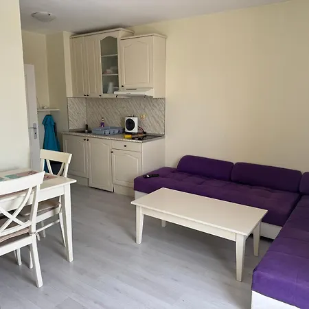 Sunny Center Apartment