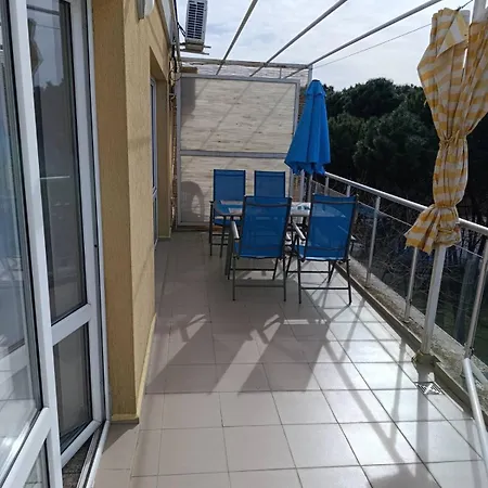 Sunny Center * Sluneční pobřeží